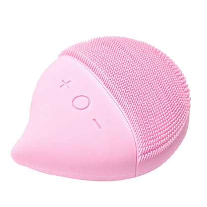 Cleanser Electric Facial